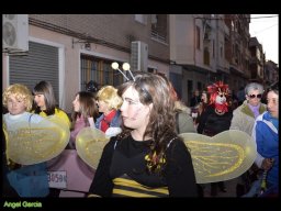 Carnaval de Mula 2013